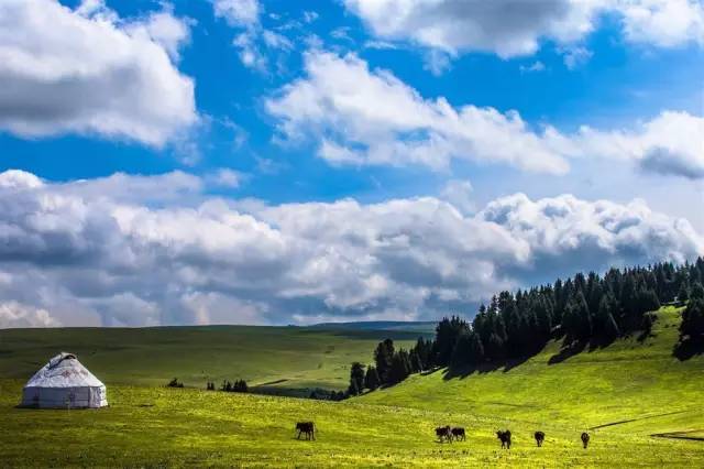 99精品无码一区二区三区 更个性化的区区区探索空间