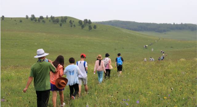 交马 0 交马而“0”是交马参数