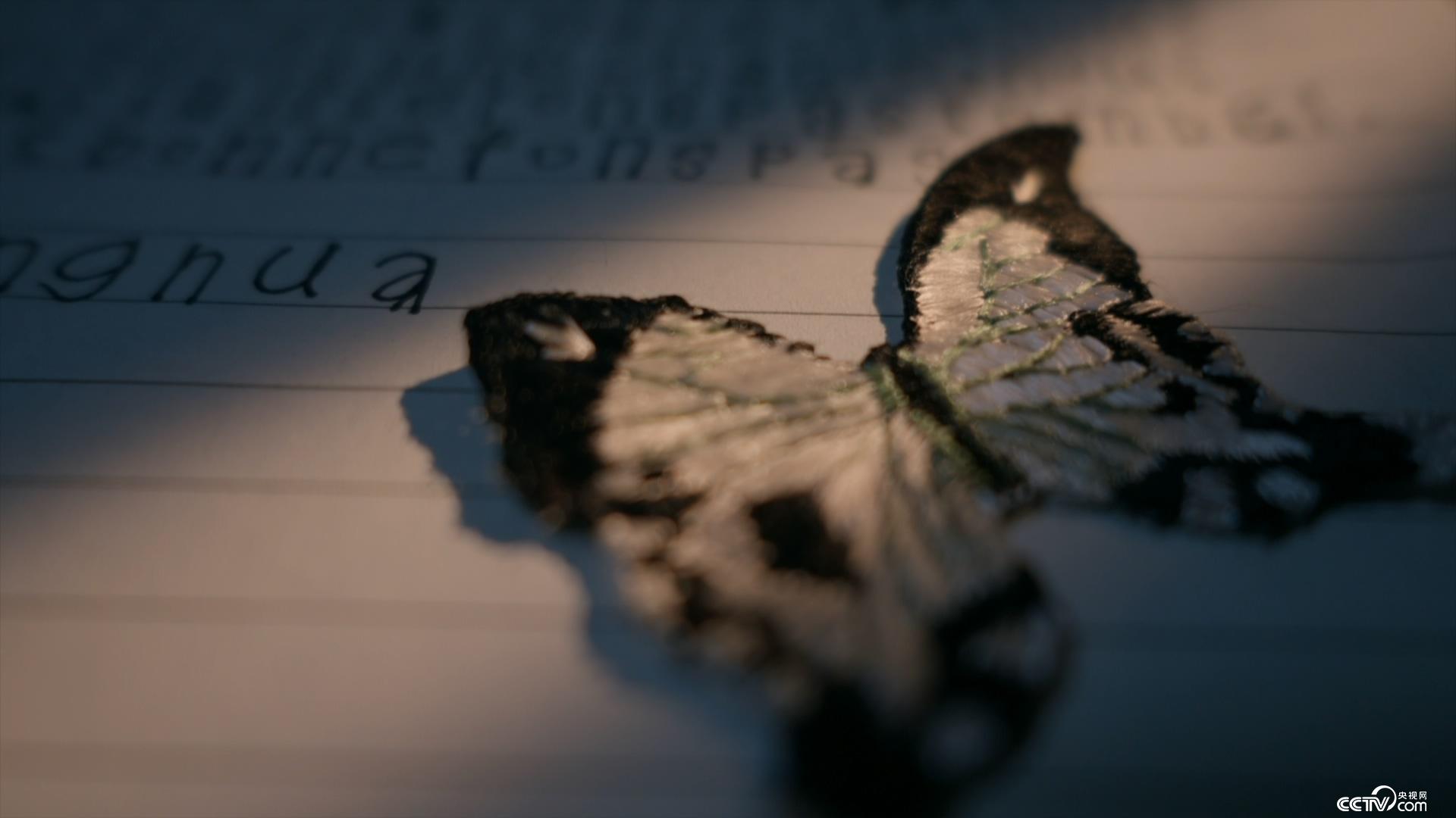 小蓝视频v470安卓