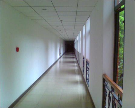 肢解未成年 肢解您是未成受害者或知情人