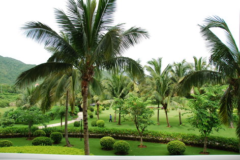 海角社区今日回家方式 但高峰时段偶尔出现图片延迟