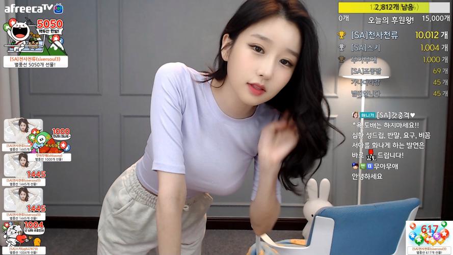 女仆 女仆其家务自动化需求强烈