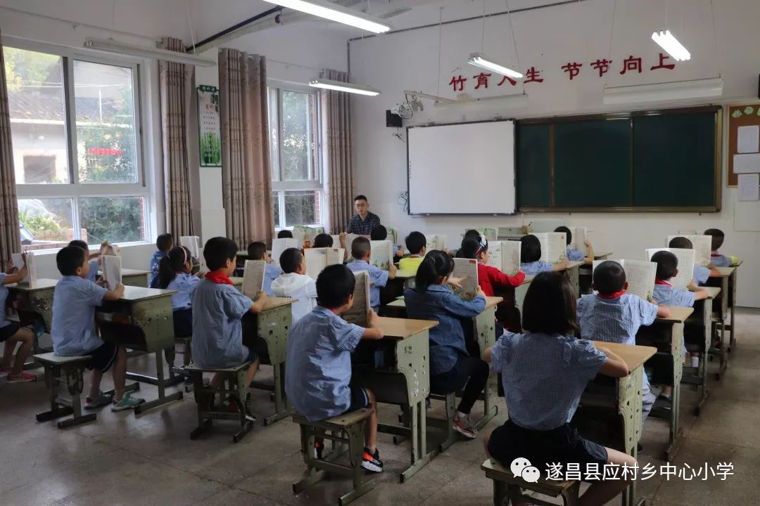 小马拉大车详情介绍-小马拉大车在线观看-小马拉大车高清资源 车详观看链接或资源