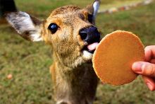 +92 吃 瓜 形成独特的吃瓜社群文化