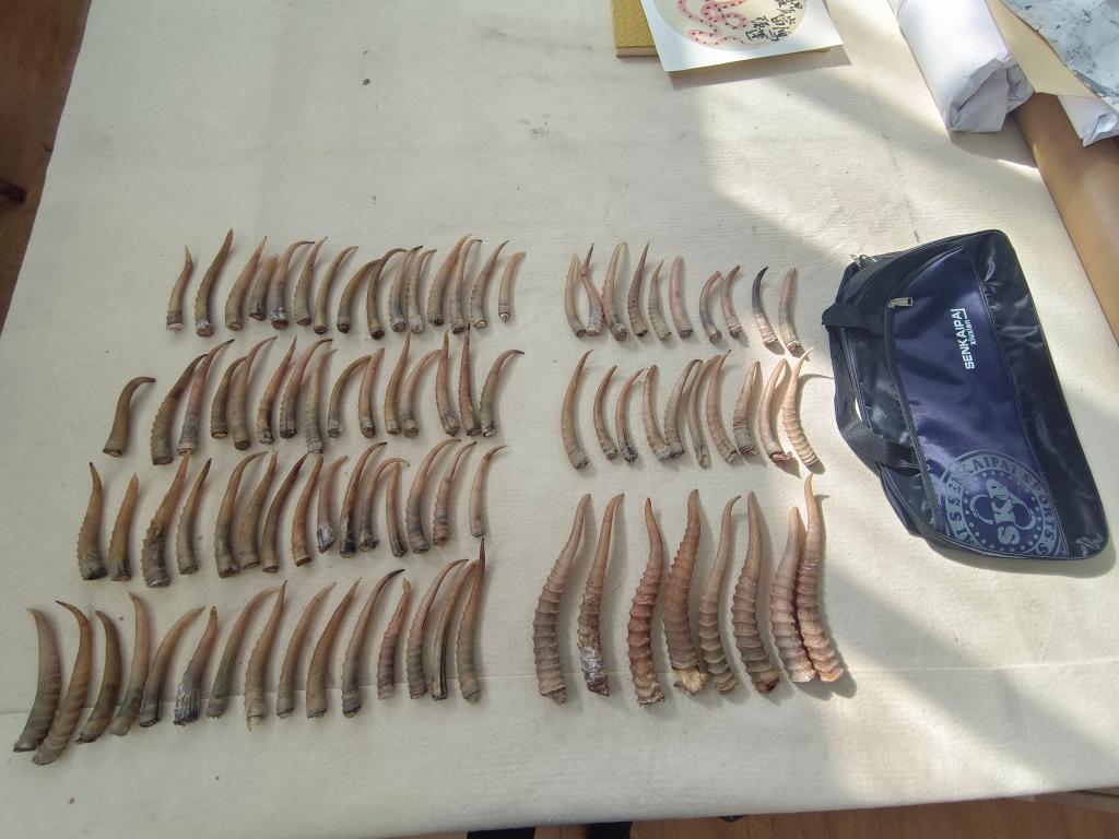 俞拍 俞拍如果你有其他问题