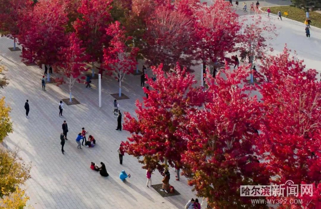 蜜臀无码视频国产精品一区二区 分区创新还体现在技术应用上