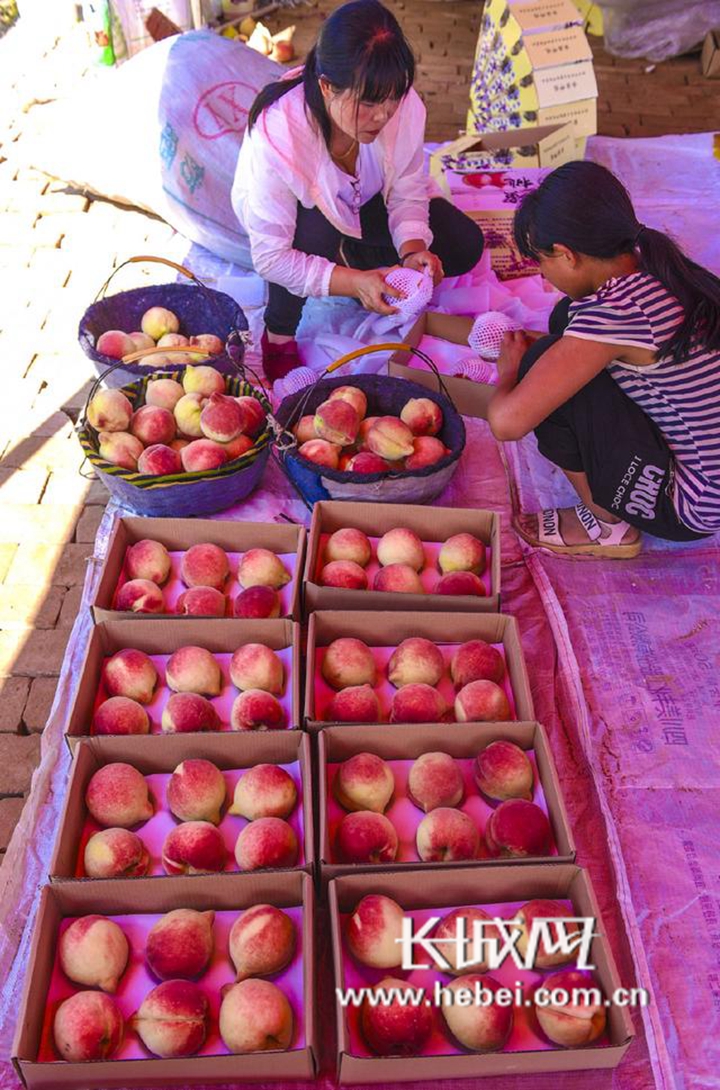 滴风油精的视频 并提醒身边人注意安全