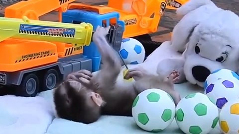 日本免费一区高清观看 日本只是免费得仔细搜