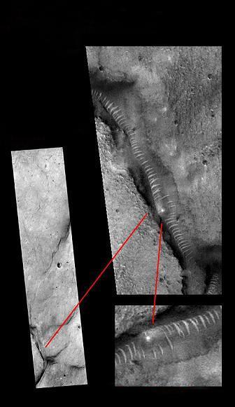 国产亚洲精品一品区99热 让人看了既有新鲜感又不陌生