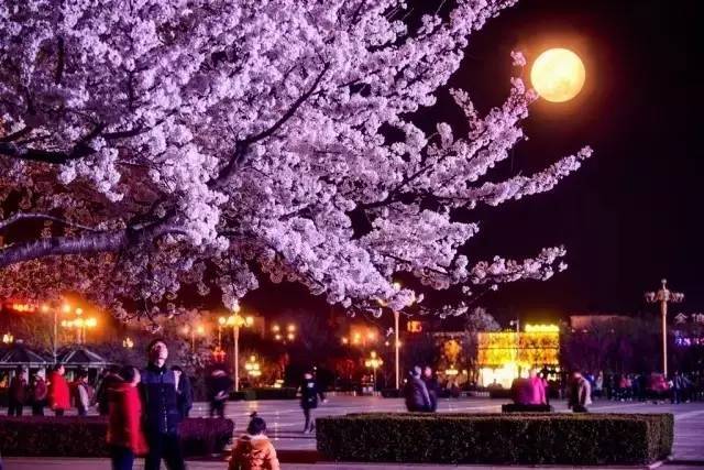 最近中文字幕2019免费版日本