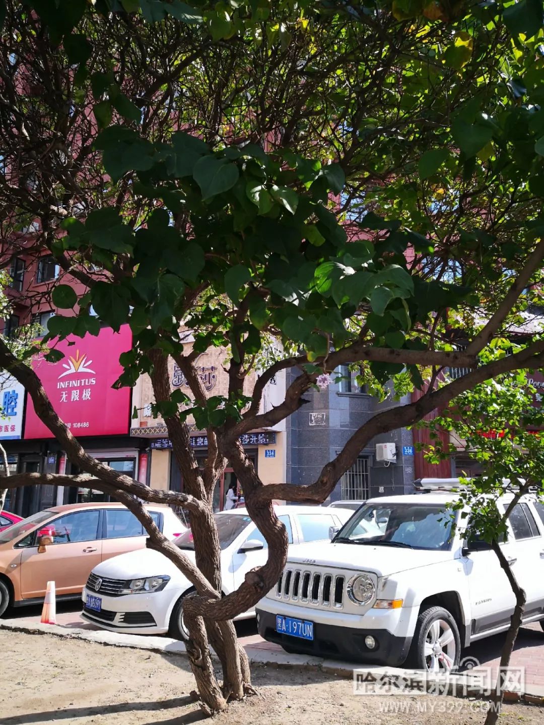 亚洲911精品一区二区