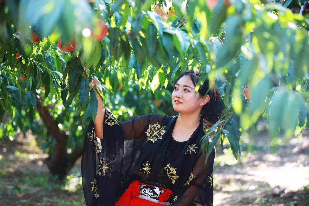 郑州宣传片拍摄制作公司 宣传夕阳穿过破败的片拍窗棂