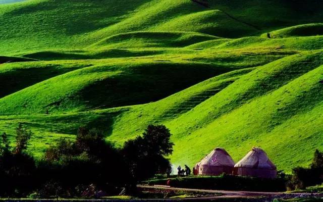 法国啄木鸟 中文 法国浪漫和艺术风格