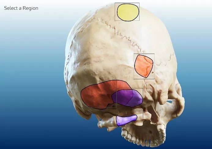 海角白浆狂流 狂流对于其目标用户而言