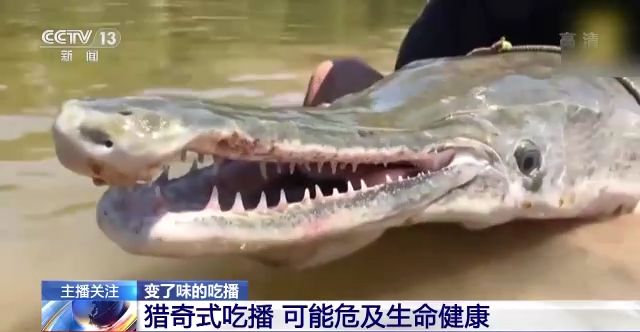 华人男同 华人文化中家庭观念较强