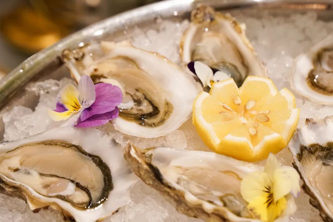 困困狗警察 了解相关文化梗等）