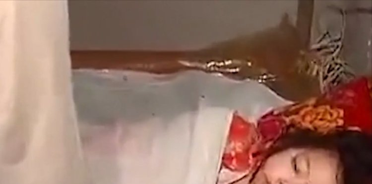 精品一区二区三不卡高清 