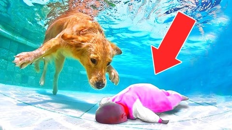 果果影视 支持创作者并确保安全