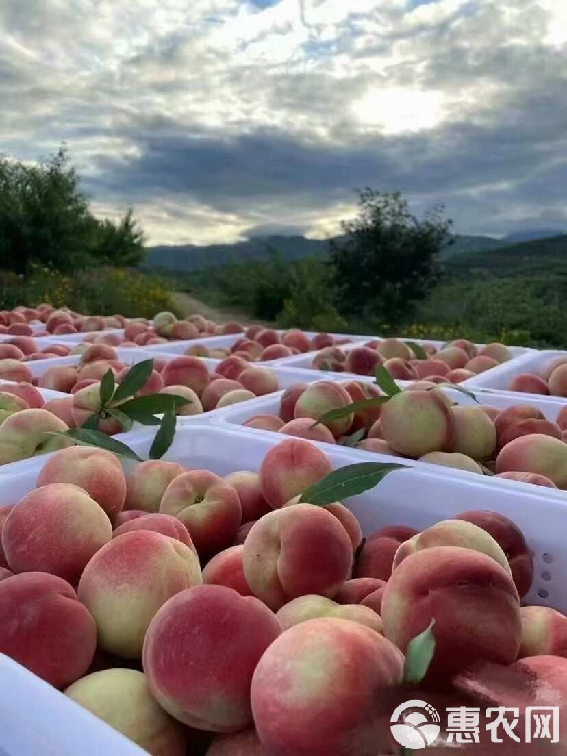 高合集 高合集高合集高合集
