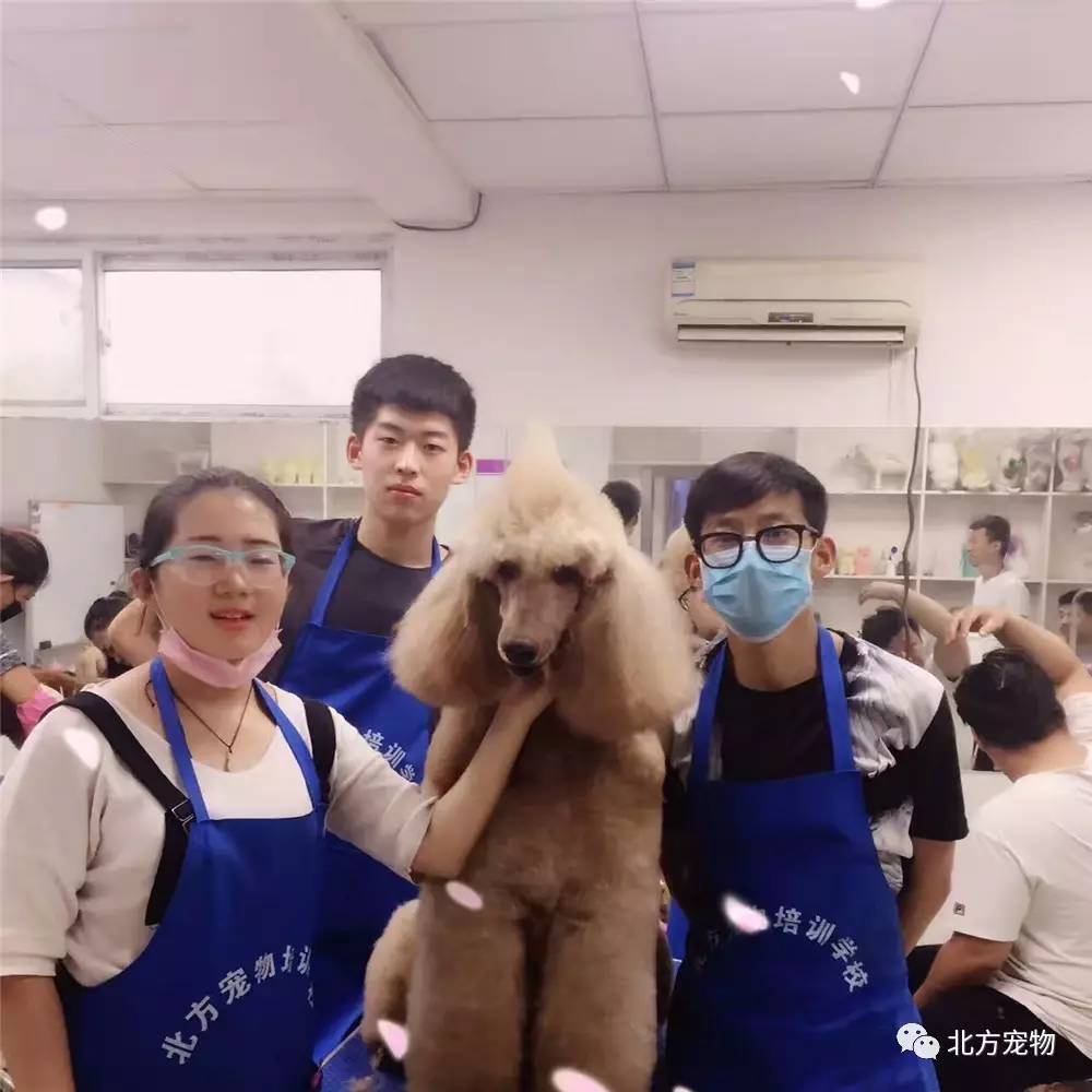 久久亚洲精品成人AV无码网站 无码网站短期内流量激增