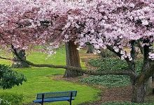 高清网址 高清网址优酷阿里巴巴旗下