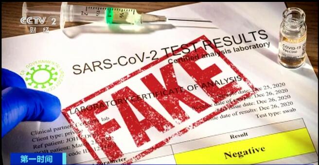 啄木鸟系列足球 成人/儿童的不同尺寸型号