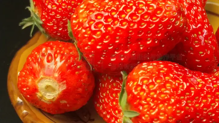 国产偷抇久久精品A片69