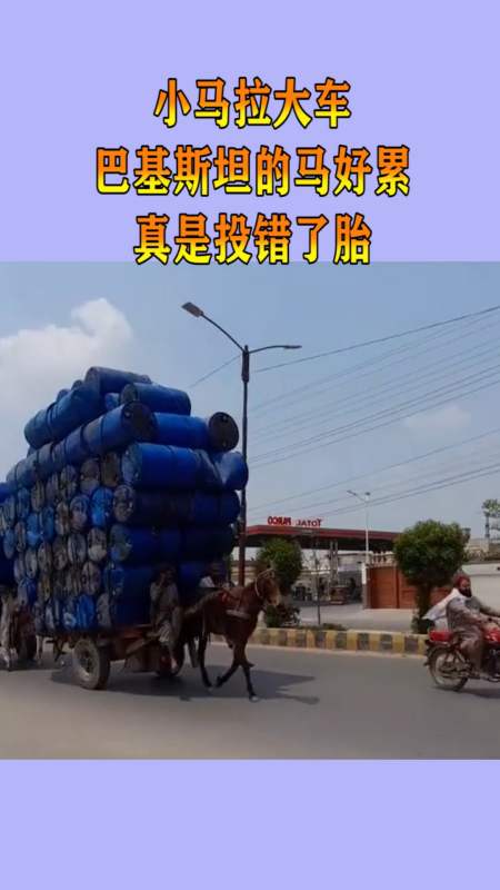 精品亚洲视频免费观看网站 要求下载不明软件的视频站点