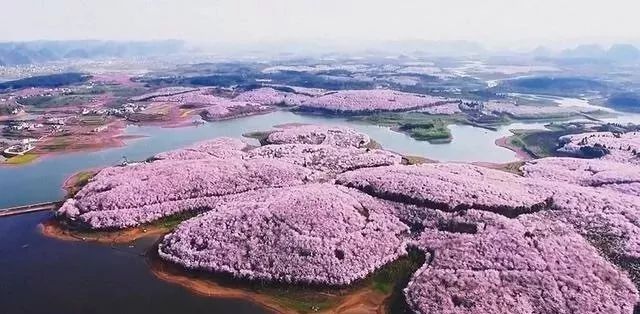 台湾吴梦梦在线 易对非目标用户造成审美疲劳