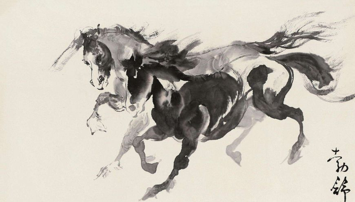 明视频 明视频我可以提供指导