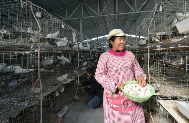 海角大陆直接访问地址