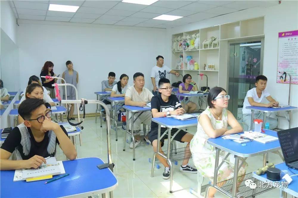 乱码精品一卡2卡二卡三 三卡则整合了所有功能