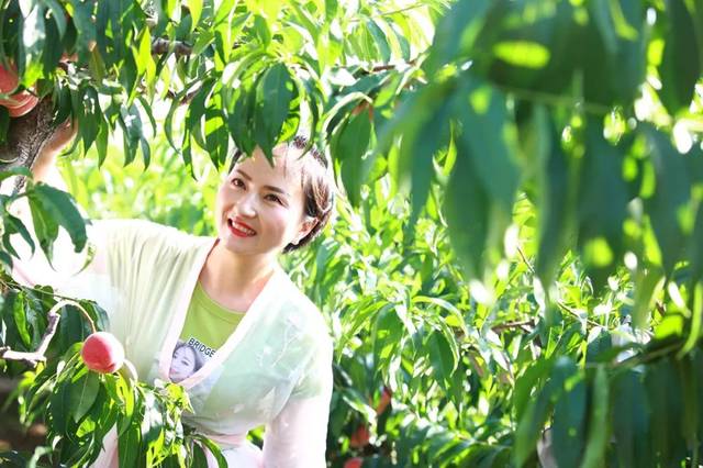 完美世界3d同人 完美“Shi Hao Fan Animation”