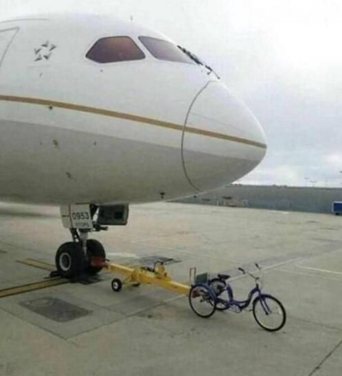 年轻的妈妈7中字巴巴鱼汤饭