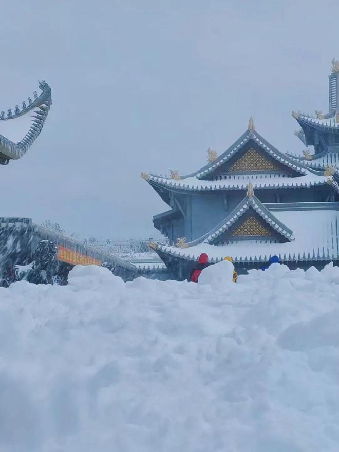 国产精品色哟哟一区二区 价格亲民但品质过硬