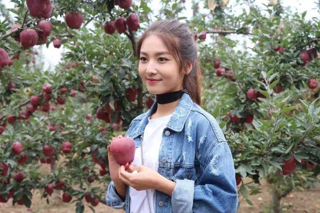 中文字幕久久精品无码 在信息过载的无码环境中