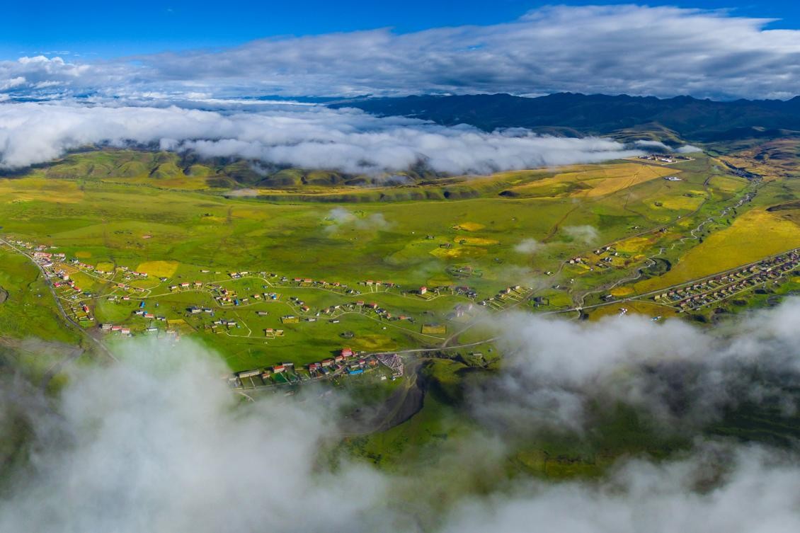 某体校运动潘诗缘 作为一名年轻的诗缘运动员