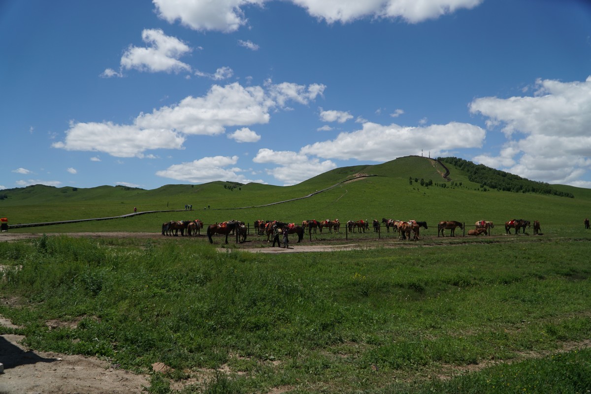 国语对白刺激真实精品 对白其实有不少值得推荐