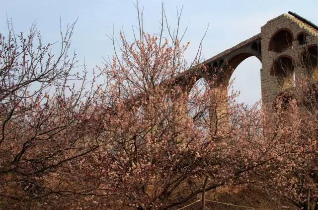 最新最好看的影视 真相和创作进行深刻剖析