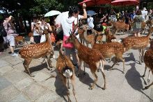 最新最好看的影视 真相和创作进行深刻剖析