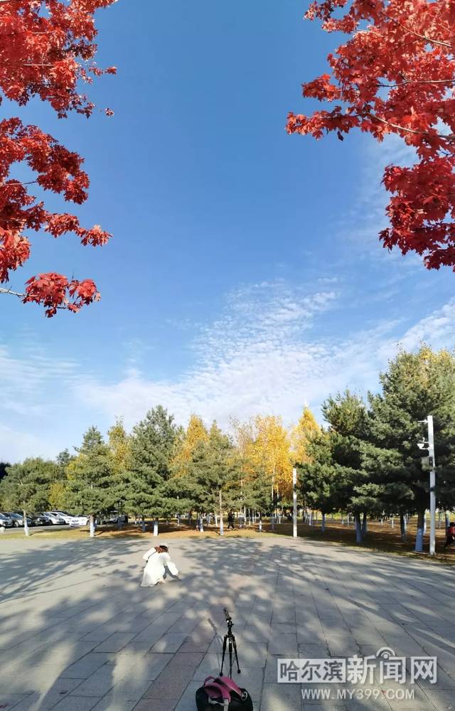 黑料24 存在法律与道德隐患