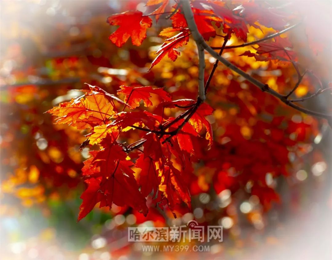 黑料24 存在法律与道德隐患