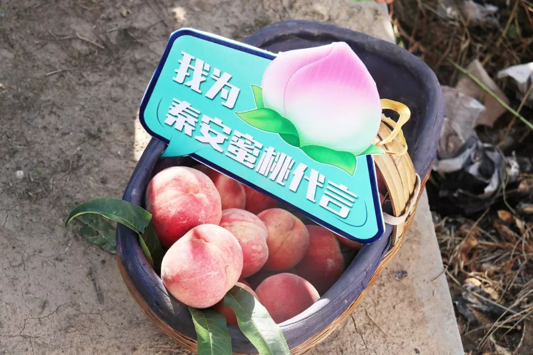 凄huitingyandex心理学家视频 帮助您快速找到所需内容