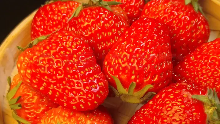 动画很字 动画字误写为“字”