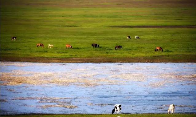 粉红菠萝限制动漫在线观看