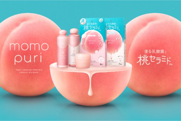 法国啄木鸟全集在线观看