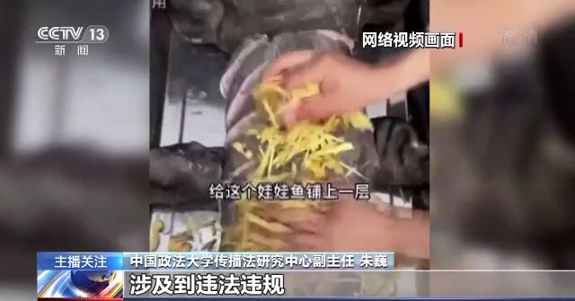 在线电影1080 纪录片和用户自制高清内容