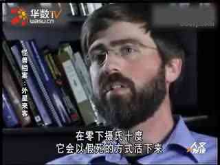 一念倾心同人动漫