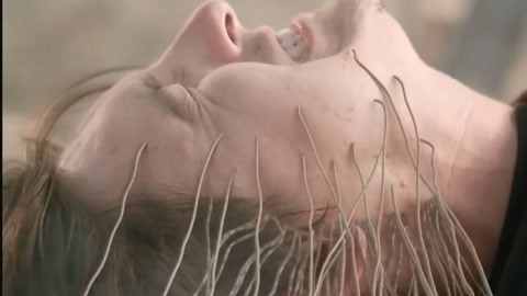 一念倾心同人动漫 念倾不必苛求技术完美