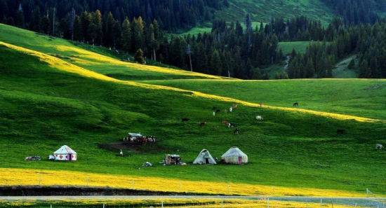 内参影片 我还没有学会回答这个问题